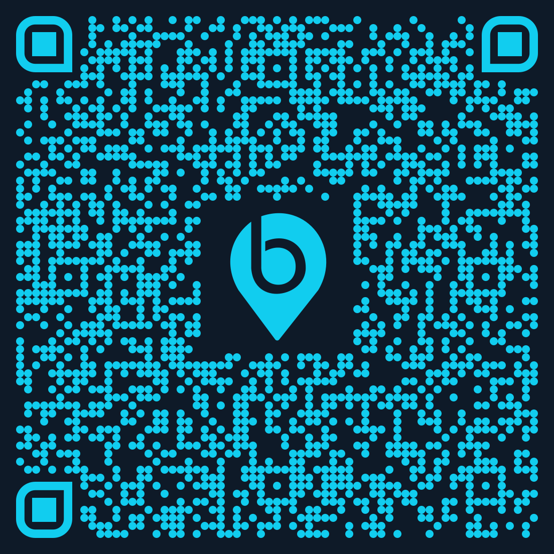 QR code Pix para apoiar o Borali